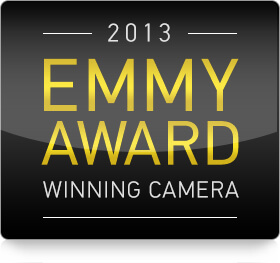 Emmy award 2013